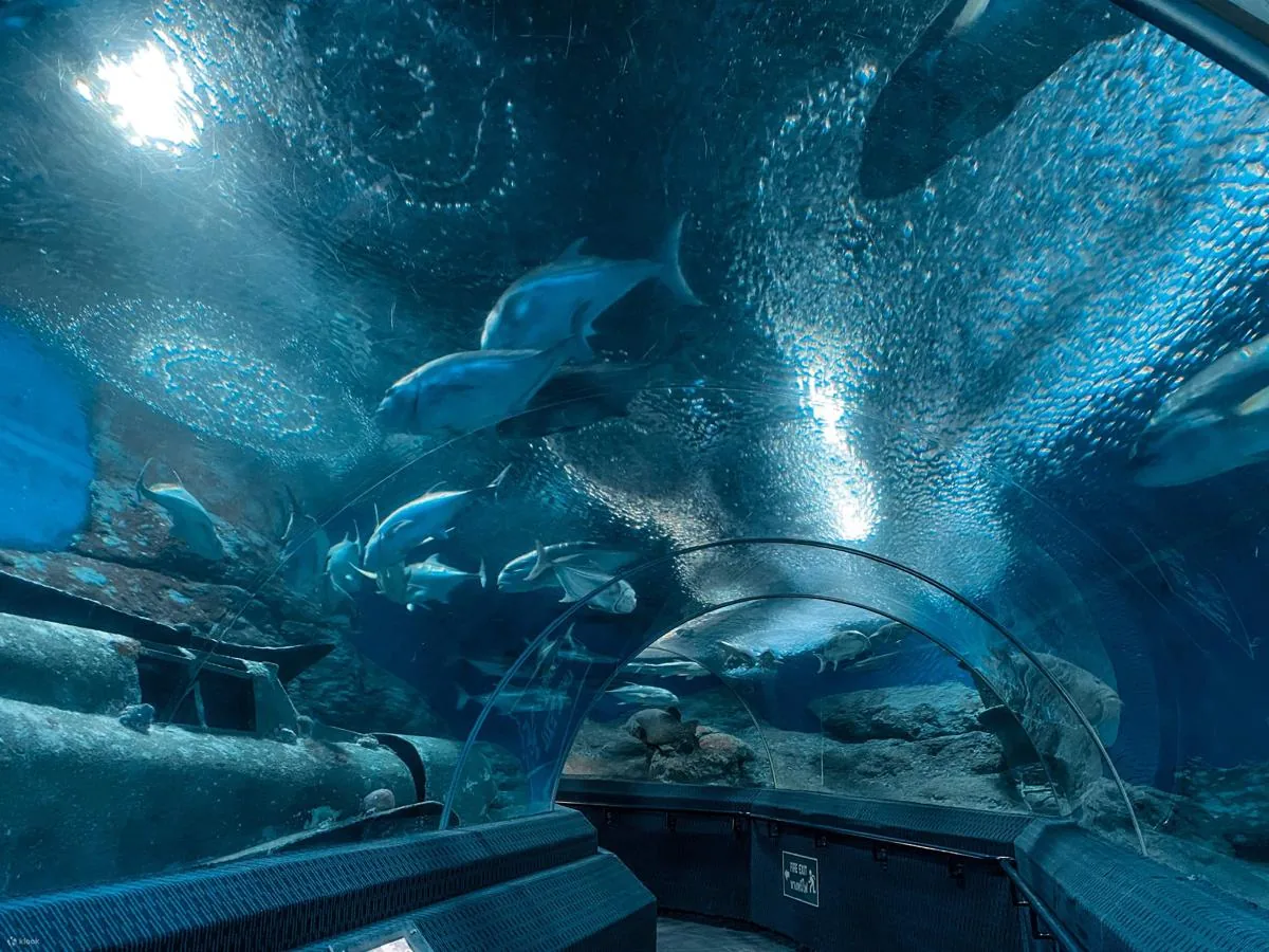 Океанариум Underwater World Pattaya в Паттайе